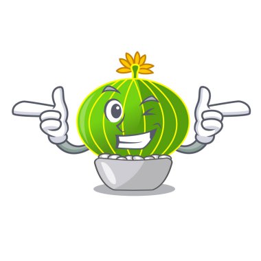 Wink bitki notocactus magnifica karakter pot vektör çizim üzerinde