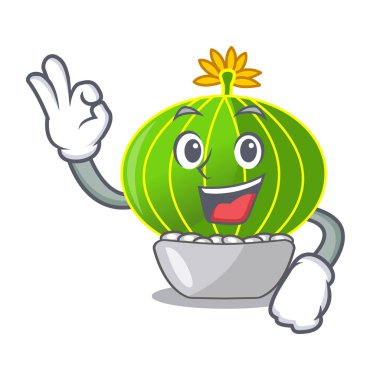 Tamam bitki notocactus magnifica karakter pot vektör çizim üzerinde