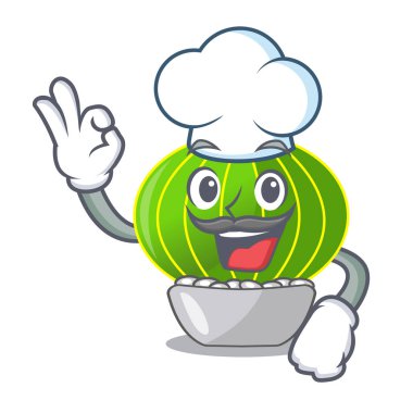 Şef bitki notocactus magnifica karakter pot vektör çizim üzerinde