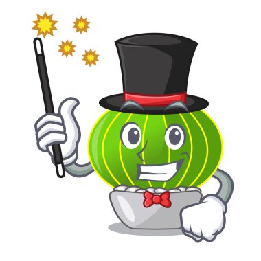 Sihirbaz çizgi film notocactus çöl Bahçe vektör çizim bitkiler.