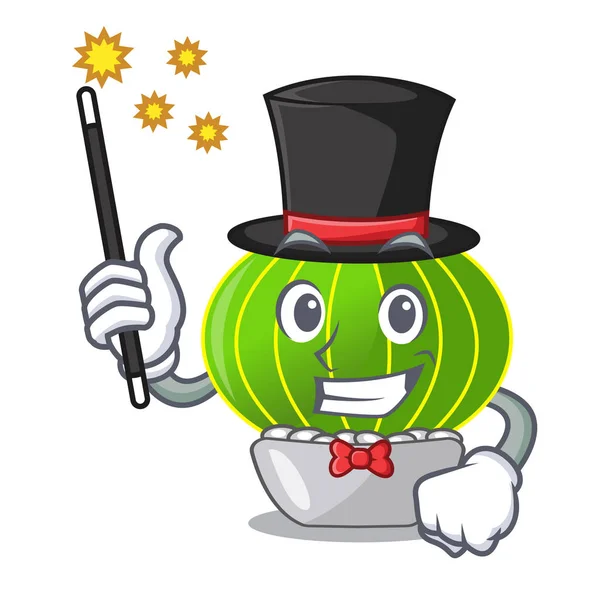 Sihirbaz çizgi film notocactus çöl Bahçe vektör çizim bitkiler.