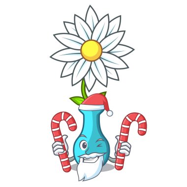 Santa ile şeker maskot güzel vazo karikatür vektör çizim çiçek