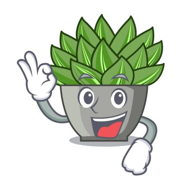 İki yeşil echeveria kaktüs karikatür vektör çizim görünümünü parmak