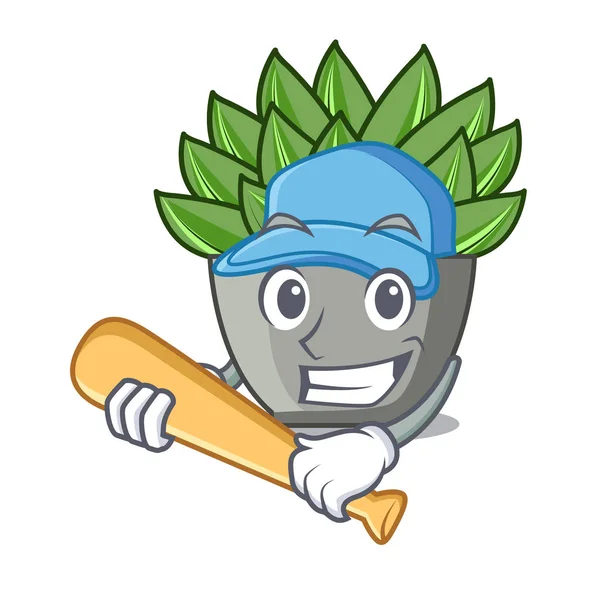 İskambil beyzbol karakter karikatür pot bitki echeveria kaktüs vektör çizim