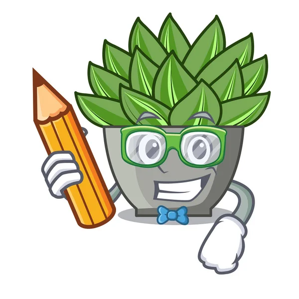 İki yeşil echeveria kaktüs karikatür vektör çizim görünümünü parmak