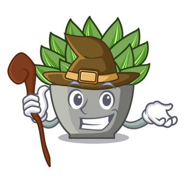 Cadı çizgi film echeveria kaktüs tesisi de kış vektör çizim