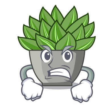 Kızgın çizgi film echeveria kaktüs fabrikasında kış vektör çizim