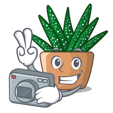 Bahçede çiçek açan fotoğrafçı karikatür zebra kaktüs