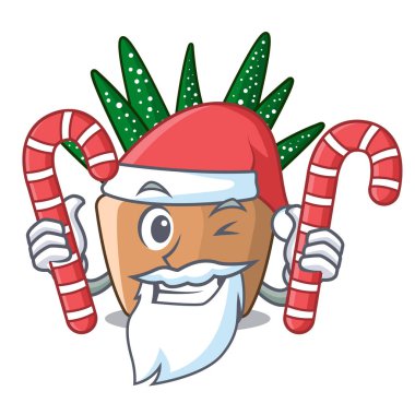 Noel candy çizgi film zebra kaktüs bitkiye Parkı vektör çizim ile