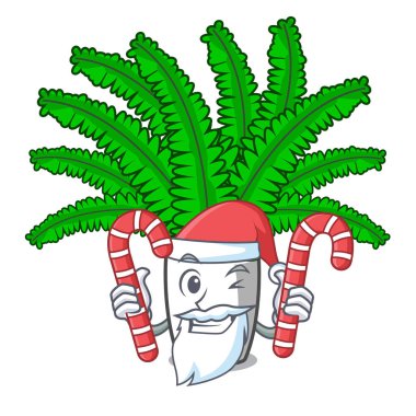 Santa maskot vektör illüstrasyon izole şeker taze fern Şubesi ile
