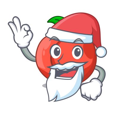Maskot izole nektarin Santa meyvesi