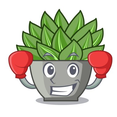 Karakter karikatür pot bitki echeveria kaktüs vektör çizim boks