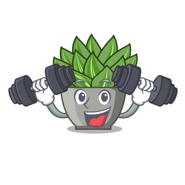Fitness karakter karikatür pot bitki echeveria kaktüs