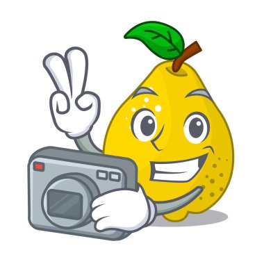 Fotoğrafçı olgun sarı ayva meyve maskot