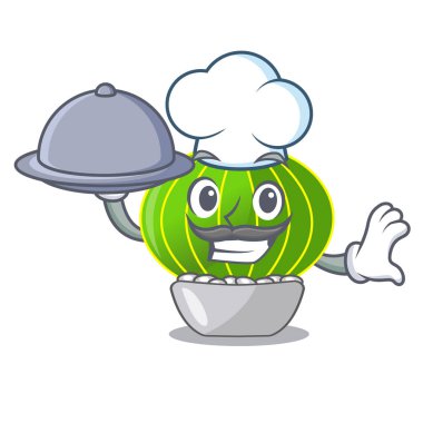 Şef ile gıda çizgi film notocactus fuscus güzel dikenleri ile