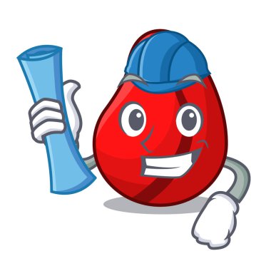 Bütün kurutulmuş kola cevizi mimar karakteri