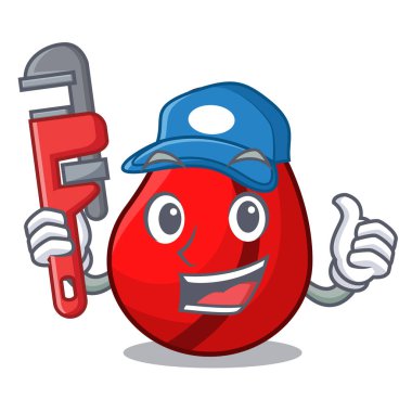 Tesisatçı maskot kola cevizi aşçı madde için