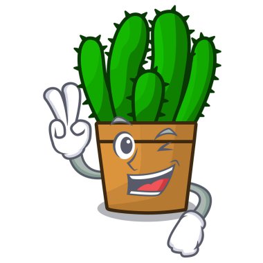 İki karakter spurge kaktüs ev dekorasyonu kapalı parmak