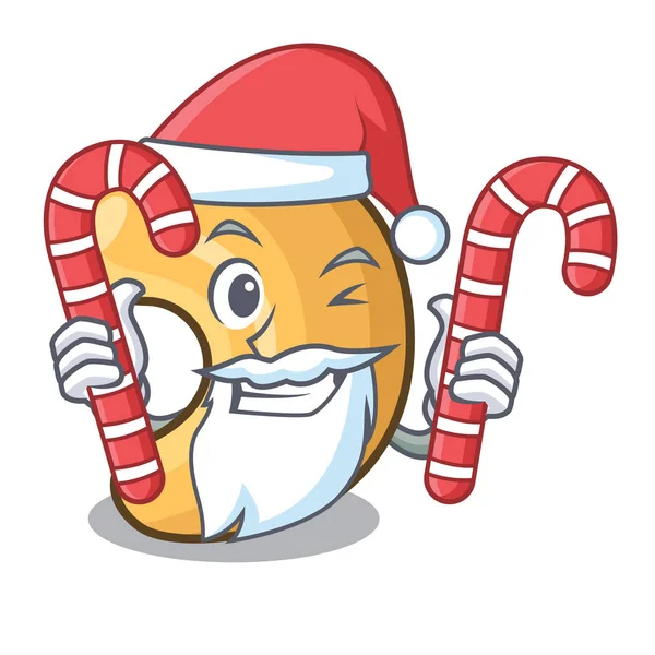 Santa con nueces de anacardo tostadas caramelo aislado en la mascota — Vector de stock