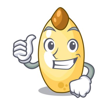 Karakter kahverengi sedir fındık meyve plaka üzerinde yaşasın