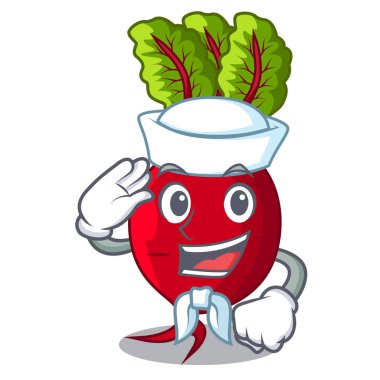 Denizci karikatür taze hasat beetroots ahşap sandık içinde