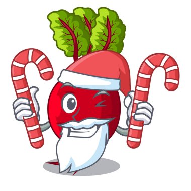 Santa ile şeker bütün beetroots yeşil yaprakları karikatür ile