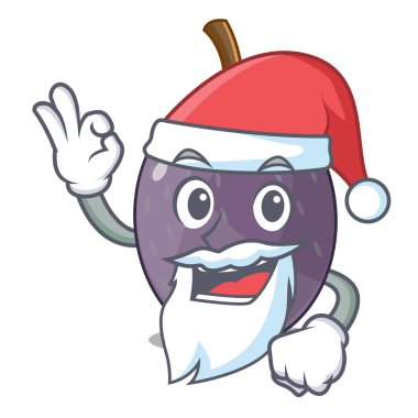 Santa kadife Demirhindi Meyve maskotu izole