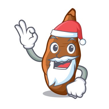 Santa taze manyok maskotu izole