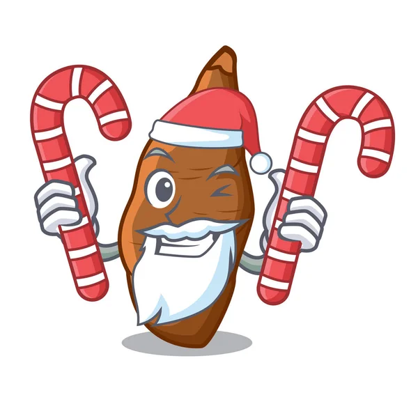 Santa con mandioca dulce fresca aislada en la mascota — Vector de stock