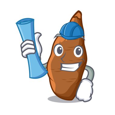 Mimar manyok kök plaka karikatür