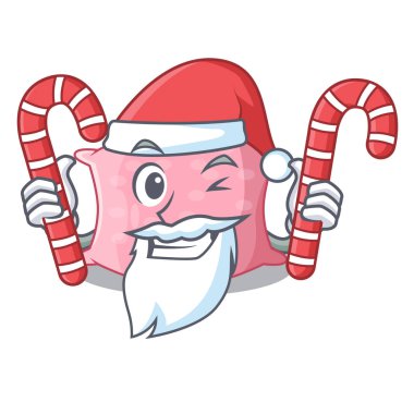 Maskot vektör illüstrasyon izole Santa şeker tatlı yastık rahat ile