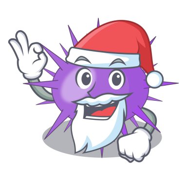 Santa deniz kestanesi bir karakter vektör illüstrasyon izole