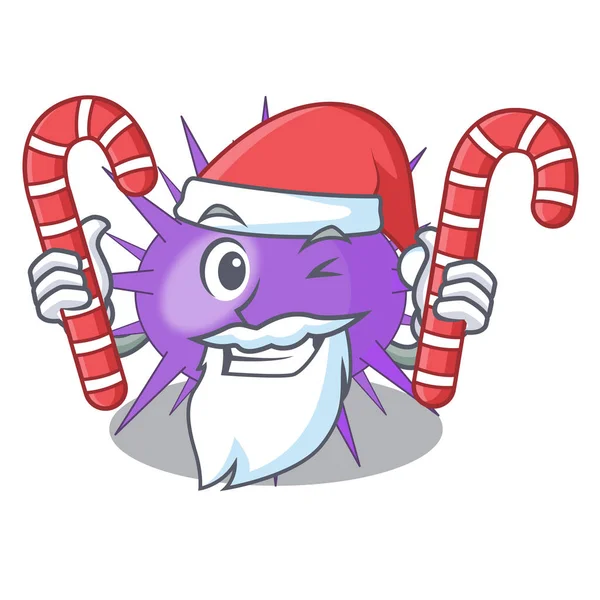 Santa ile şeker deniz kestanesi bir karakter vektör illüstrasyon izole