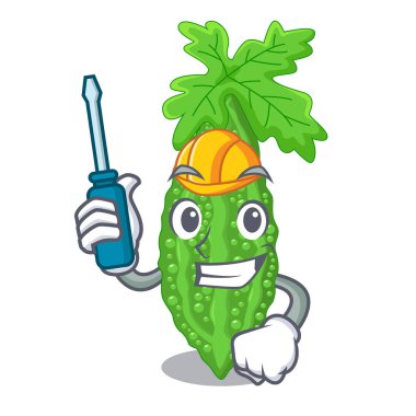 Otomotiv momordica acı kavun armut karikatür vektör çizim üzerinde