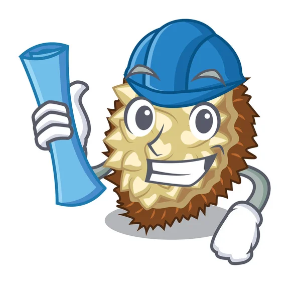 Marang meyve şeklinde bir çizgi film vektör çizim mimar