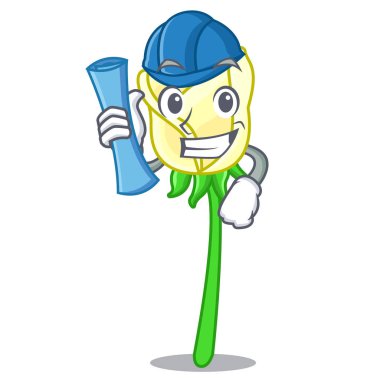 Beyaz gül maskot vektör illüstrasyon izole mimar