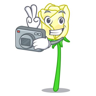 Üzerinde karakter tablo vektör çizim fotoğrafçı beyaz gül