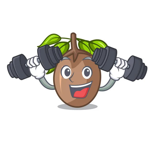 Fitness Sapodilla Fruit Pada Karakter Bowl Vector Illustration - Stok Vektor