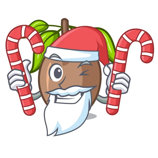 Santa Con Caramelo Rebanada Sapodilla Fruta Forma Ilustración Vector Dibujos — Vector de stock