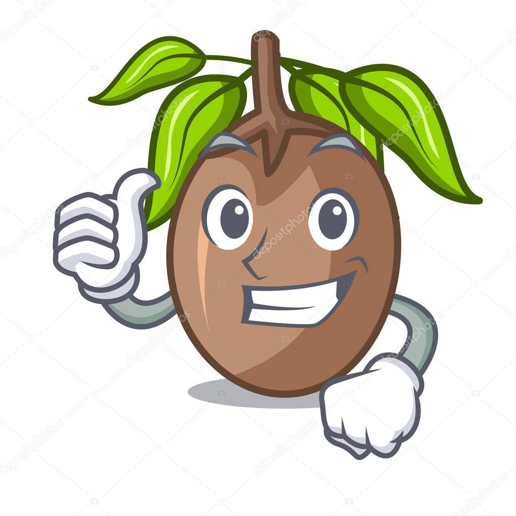 Thumbs up sapodilla fruit isolated on the mascot vector illustration