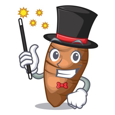 Dilimlenmiş sihirbaz taro üzerinde şekil karikatür komik vektör illustreation