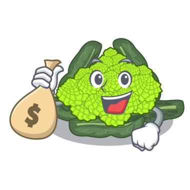 Para çantası Roma karnabahar ile şekil karikatür vektör çizim içinde