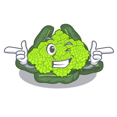 Wink detay doku Roma karnabahar karakter vektör çizim