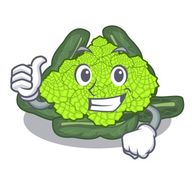 Roma karnabahar karakter vektör çizim detay doku yaşasın