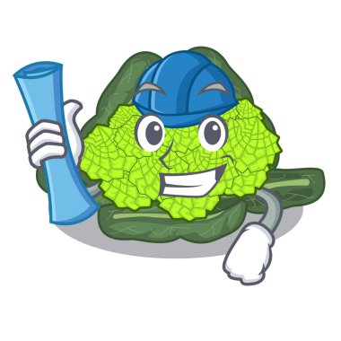 Mimar detay doku Roma karnabahar karakter vektör çizim