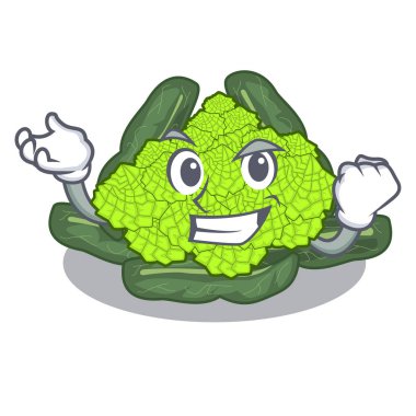 Roma karnabahar karakter vektör çizim başarılı detay doku