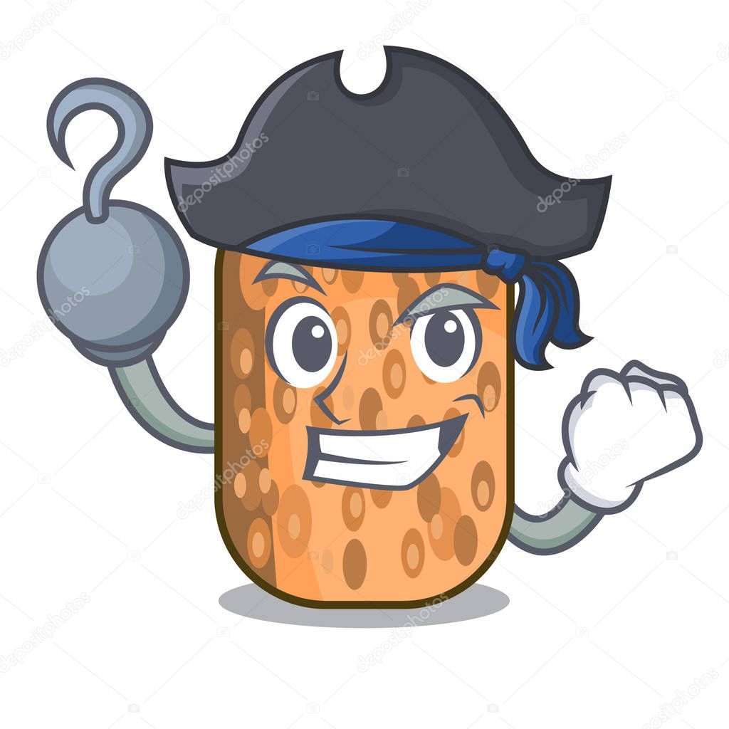 Pirate tempeh fried in the shape cartoon vector illustrartion