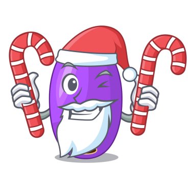 Santa ile şeker meyve jambolan maskotu vektör illüstrasyon izole