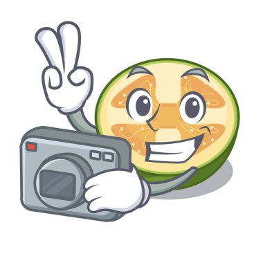 Fotoğrafçı feijoa meyve dilimleri karikatür plaka vektör çizim