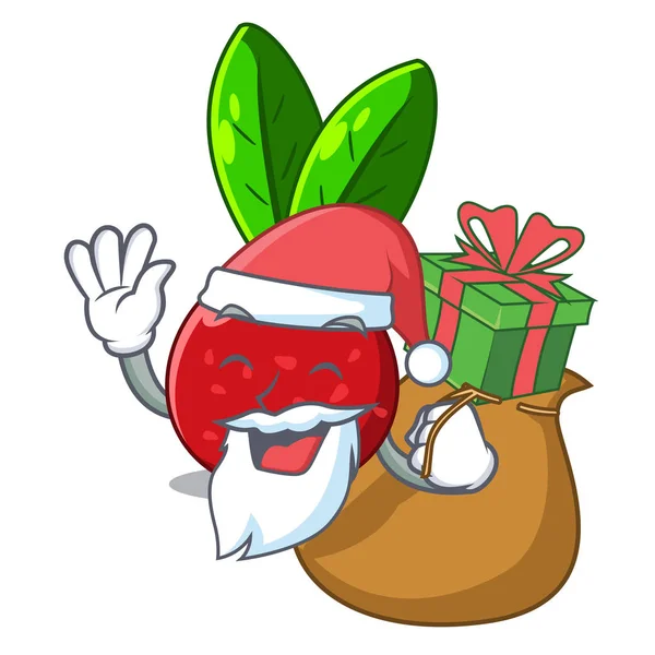 Santa Com Fruta Presente Yangmei Isolado Ilustração Vetor Mascote — Vetor de Stock